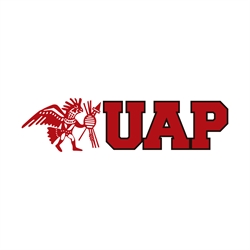 UNIVERSIDAD ALAS PERUANAS Sucursal AYACUCHO