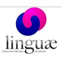 Linguae S.A.