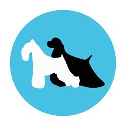 Master Kennel S r Ltda
