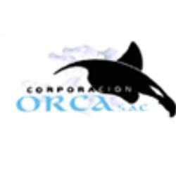 Corporación Orca - Coberturas de Aluzinc (Calaminas)