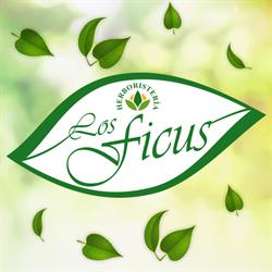 Herboristeria los Ficus