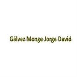 Gálvez Monge Jorge David