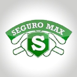 Seguro Max Service