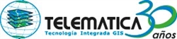 Telematica S a