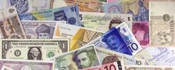 Universal Money