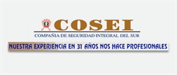 Cia de Seguridad Integral Del Sur S.r.lt