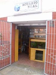 Acuario Real S.r.l.