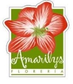 Floreria Amarilys