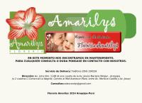 Sitio web de Floreria Amarilys