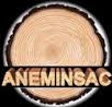 Aneminsac