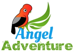 Angel Adventure Tours