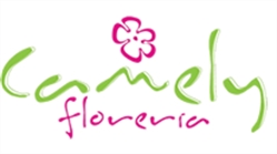 Camely Floreria - Florerias Peru