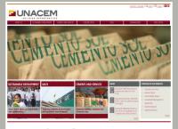 Cemento Andino S.a