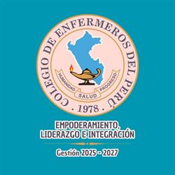 Colegio De Enfermeros Del Peru