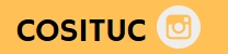 Cosituc
