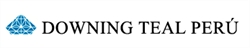 Downing Teal Del Peru S a C