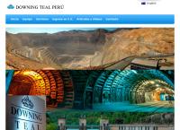 Sitio web de Downing Teal Del Peru S a C