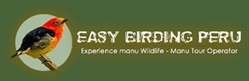 Easy Birding Peru E.i.r.l.