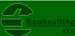 Econsulting Kfb S.a.c.