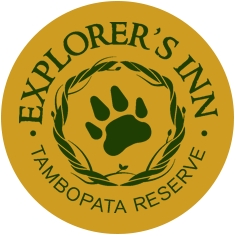 Explorer S Inn