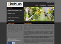 Sitio web de FLASH Lab