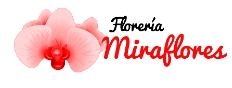Floreria Miraflores