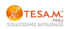 Globalstar - Te.sa.m. Peru S.a.