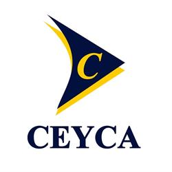 Ceyca Servicios Generales Y Construccion Sac