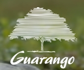 GUARANGO - Guarango, Cine y Video