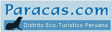 Hotel Paracas S.A