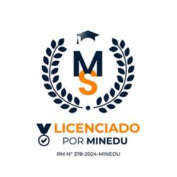 Instituto de Educación Superior "Manuel Mesones Muro - Master System"