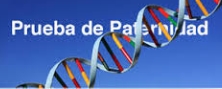 Analisis Prueba Adn