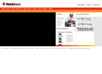 Sitio web de Mapalsa S a C