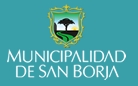 Municipalidad De San Borja