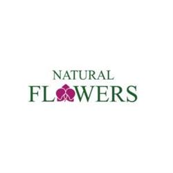 Natural Flowers