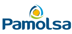 Pamolsa Peruana De Moldeados S.a.
