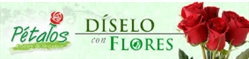 Floreria Petalos