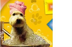 Peluqueria Canina Wau