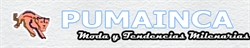 Pumainca S.R.L