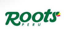 Corporacion Roots S.a.