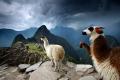Cusco y Puno en 7 días