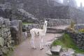 Cusco en 5 días