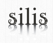 Silisa S r Ltda