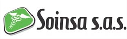 Soinsa