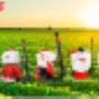 Su mejor amigo en todos los campos.
Agricultura :contamos con equipos para la agricultura que cuidan sus campos de cultivo.