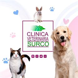 Clínica Veterinaria Surco