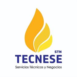Tecnese S.a.