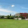 Colegio UNIÓN Área verde 04