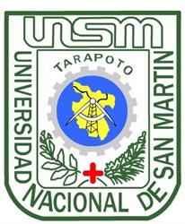Universidad Nacional de San Martin
