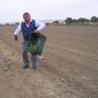 Inicio de Plantacion del Viñedo
